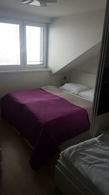 Apartmany Dolní Morava Exterior photo